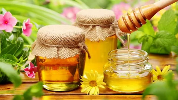 تصویر 2 از خرید و قیمت عسل گون باکیفیت + فروش عمده
